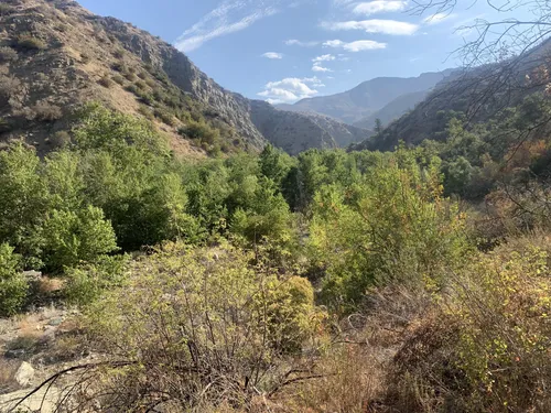 10 Best Hikes and Trails in Los Padres National Forest AllTrails