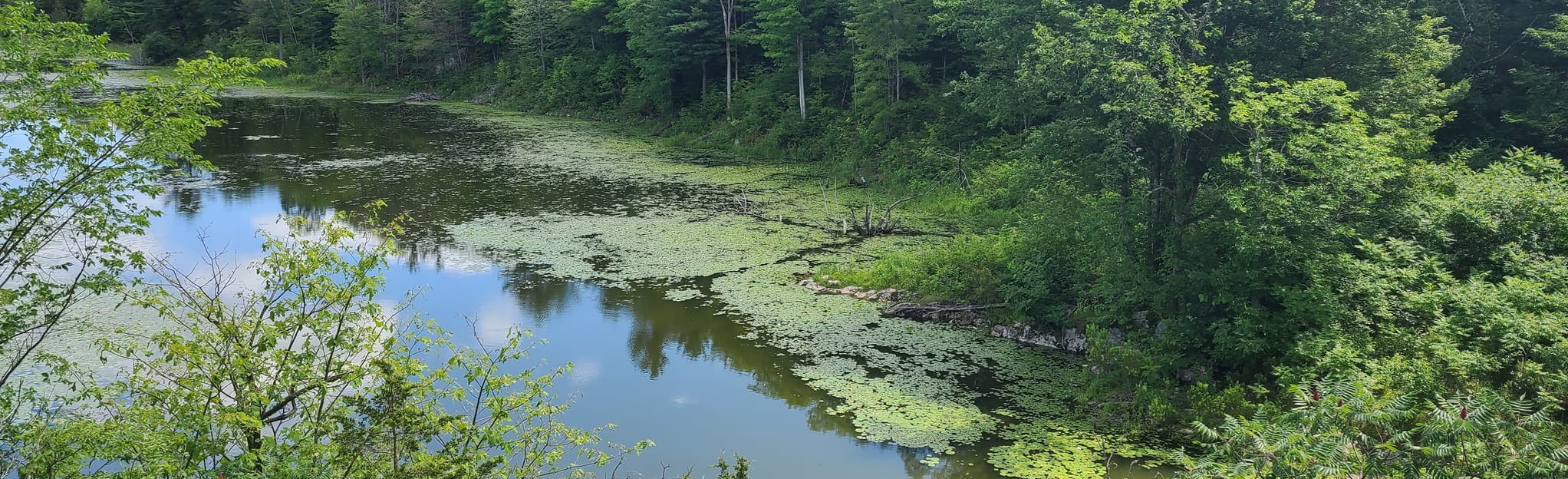 Marble Rock Loop Trail 440 foto's Ontario, Canada AllTrails