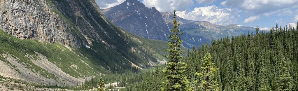 Gemaakt om te onthouden Herhaald vitamine East Ridge Summit via Edith Cavell Meadows Trail: 729 Reviews, Map -  Alberta, Canada | AllTrails