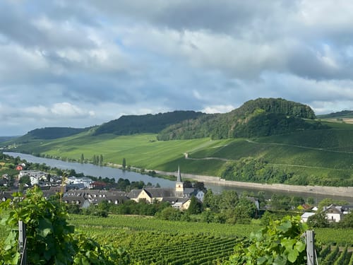 Weinlehrpfad Nittel