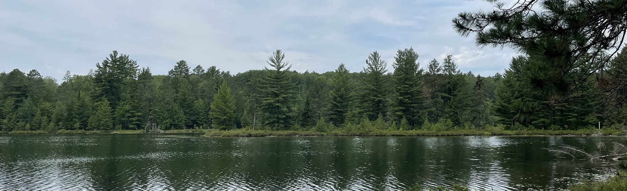 Pickerel Lake Loop, Minnesota 128 Reviews, Map AllTrails