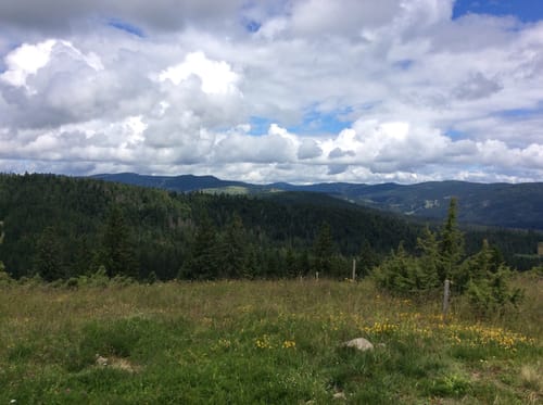 Ibacher Panoramaweg (Genießerpfad)