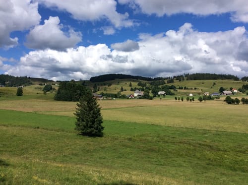 Ibacher Panoramaweg (Genießerpfad)