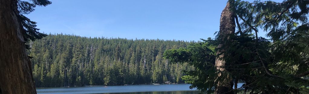 are dogs allowed at lost lake oregon