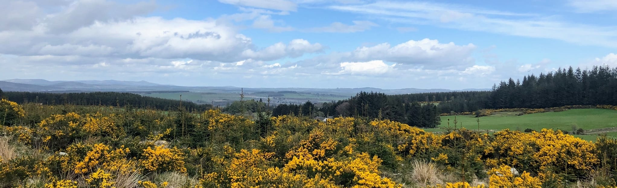 Durris Forest and Monthammock Wood 3 Reviews, Map Aberdeenshire