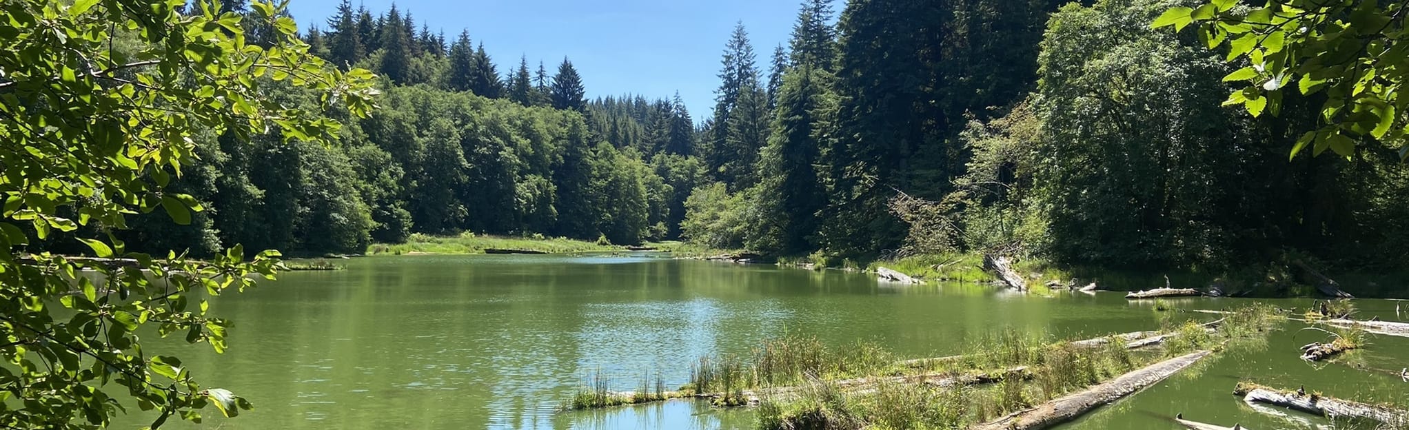 Soapstone Lake Trail 273 foto's Oregon AllTrails