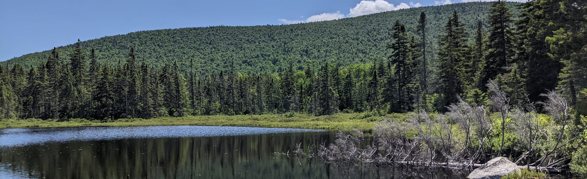 Kilkenny Ridge Trail, New Hampshire 35 Reviews, Map AllTrails