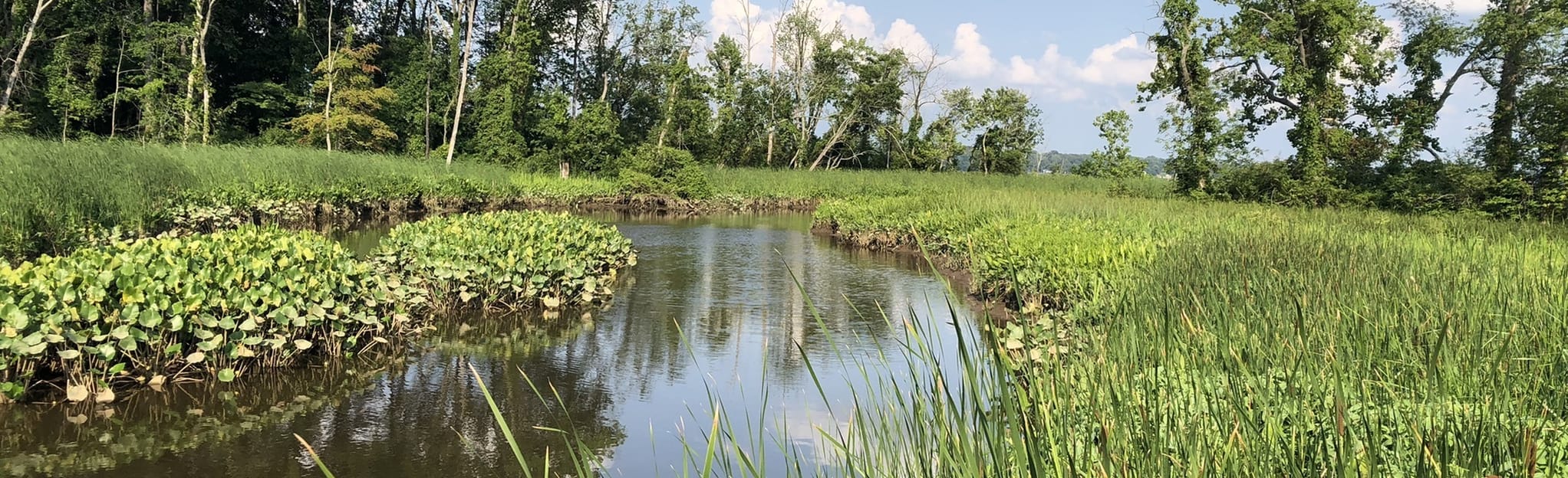 Mount Vernon Trail Belle Haven to Dyke Marsh 550 Reviews, Map