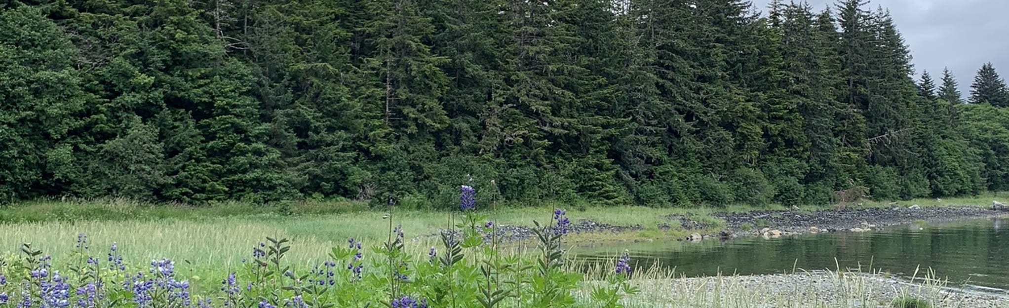 AllTrails North Bridget Cove Trail 52 Reviews, Map Alaska