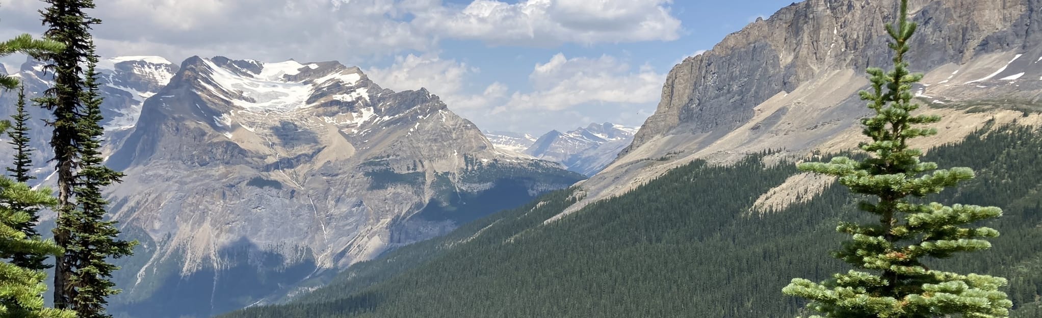 Mount Field, British Columbia, Canada 22 Reviews, Map AllTrails