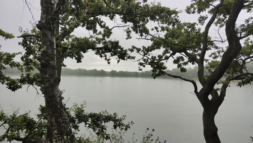 Borsdorf Mountainbike-Tour