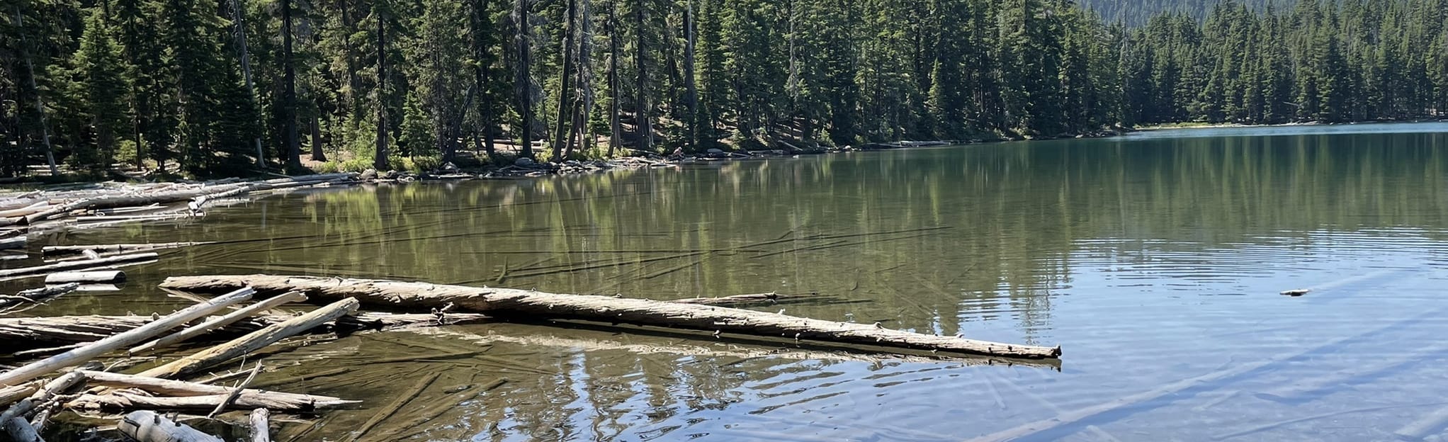 Senoj Lake via Lucky Lake Trailhead 90 fotos Oregon AllTrails