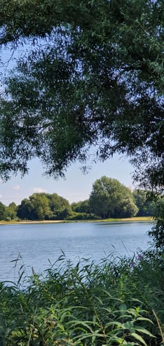 Rund um den Eichbaumsee