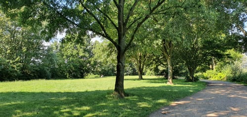 Rund um den Eichbaumsee