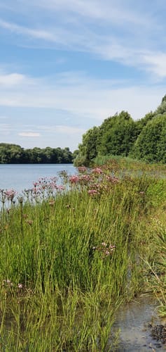 Rund um den Eichbaumsee