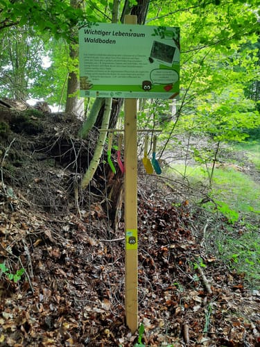Erlebnis-Radweg Holzwinkel & Altenmünster (Altenmünster)