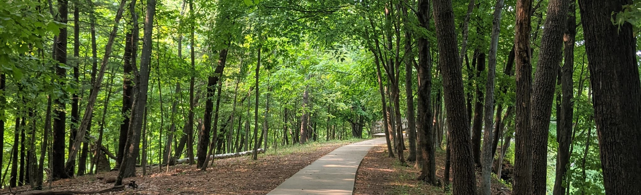 Bridal Veil Trail 119 Reviews, Map Iowa AllTrails