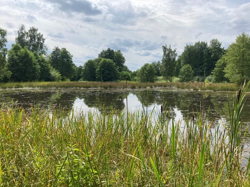 Land der tausend Teiche bei Plothen