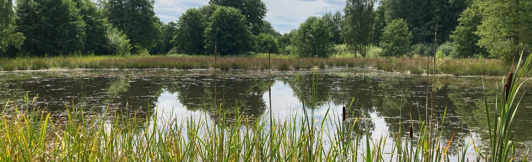Land der tausend Teiche bei Plothen 3 Fotos Thüringen, Deutschland