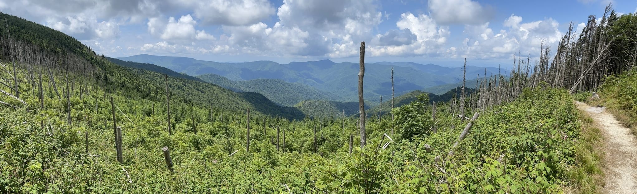 Deep Gap Trail: 608 Reviews, Map - North Carolina | AllTrails