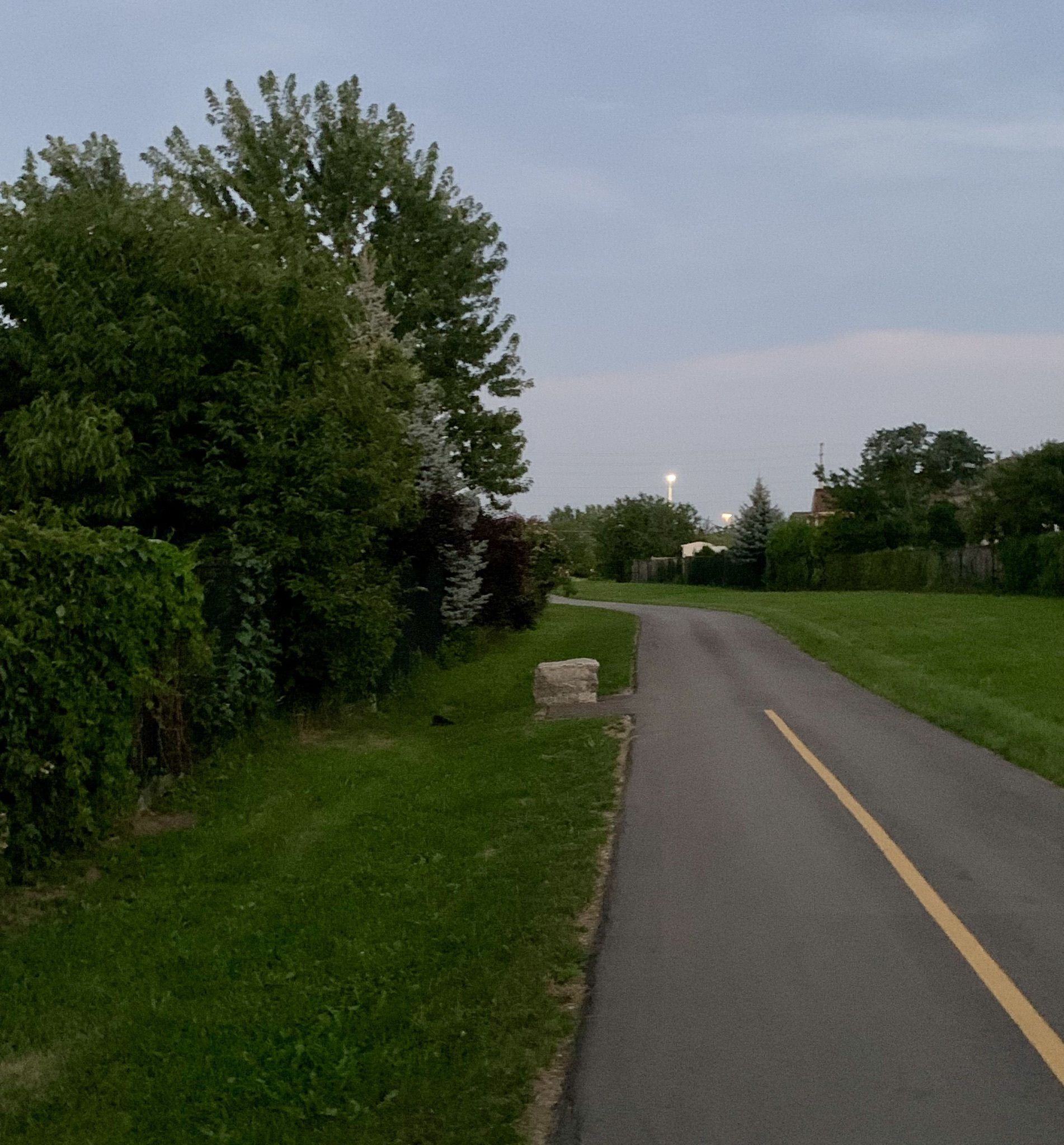 Photos of McCarron Park, Ontario, Canada trails | AllTrails