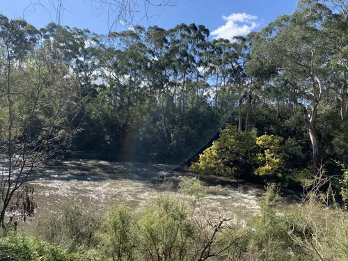 10 Best Hikes and Trails in Warrandyte State Park | AllTrails