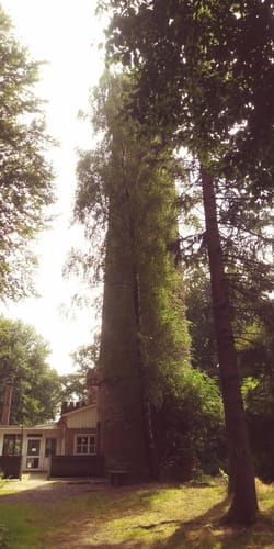 Wandern im Harrl H 1
