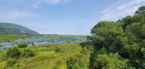 2023 Best Forest Trails in SaintLouisdeGonzagueduCapTourmente