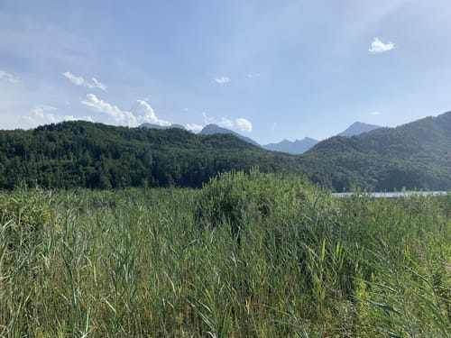 Rund um den Weißensee