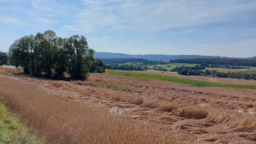 Rund um Klausen