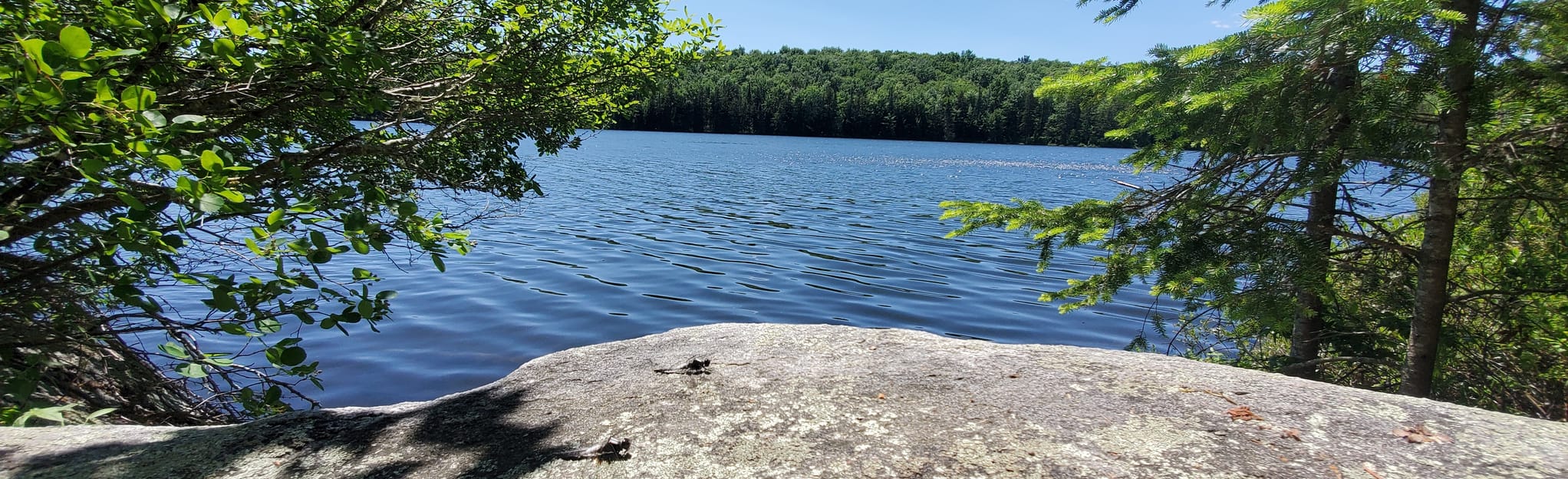 Osmore Pond Hiking Loop, Vermont - 46 Reviews, Map | AllTrails