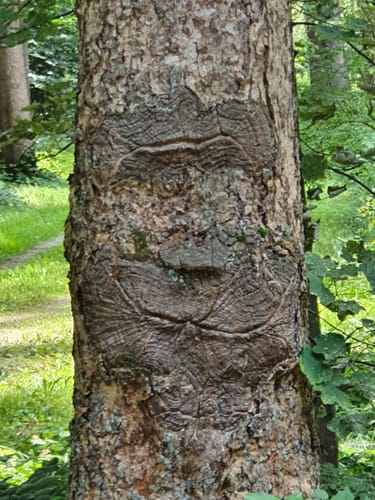 Von Ferthofen entlang des Füllenbachs
