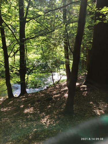 Rund um die Saidenbachtalsperre