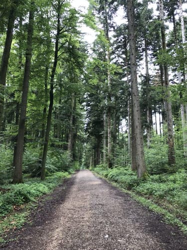 Bergtour Höchsten (Premiumwanderweg)