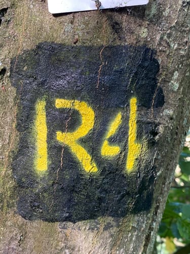 Kapellenweg (Roßbach R4)