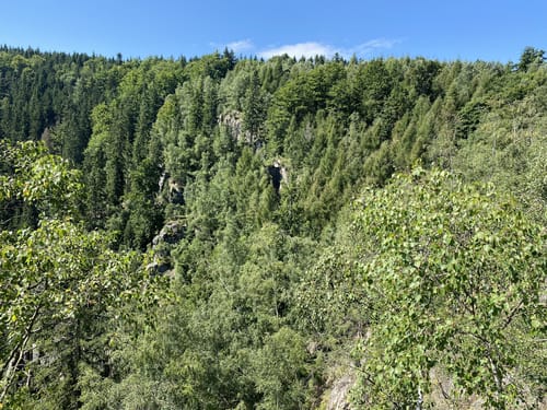 Wanderung im Schwarzwassertal