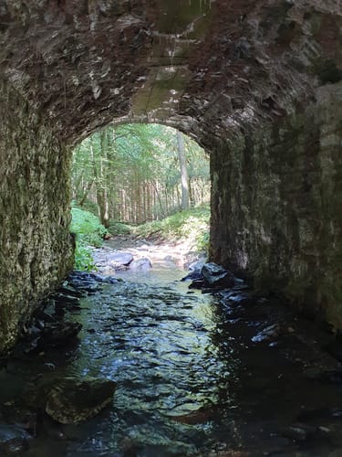 Kirchspiels Tälertour (Moselsteig Seitensprung)