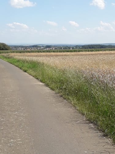 Ferschweiler (Naturpark Südeifel Wanderweg Nr. 60)
