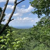 Meadow Creek Mountain Trail (Long Creek Road to Fire Tower), Tennessee ...