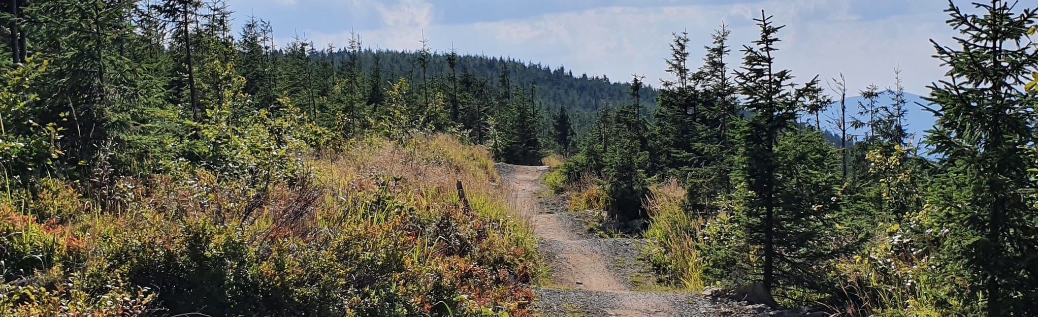 Szczyrk Enduro Trails: Hip HopA Air, Silesian, Poland - Map, Guide  AllTrails