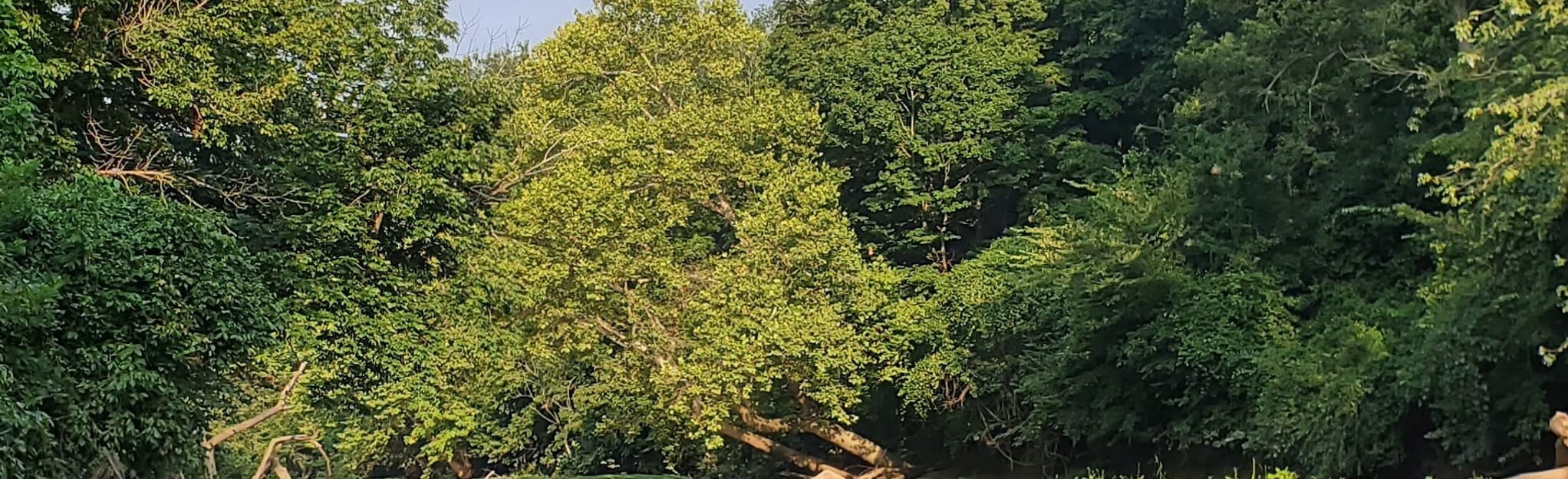 Flatwoods Trail , Indiana 443 Reviews, Map AllTrails