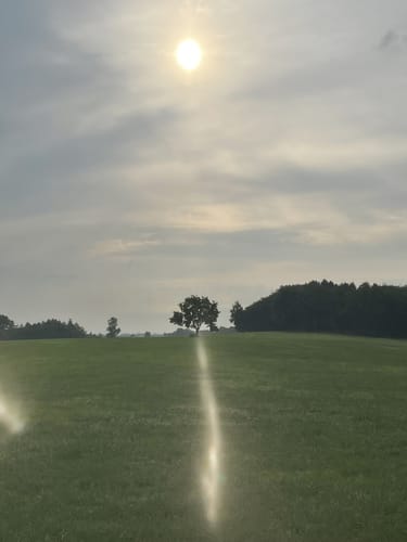 Wittekindsweg Etappe 2: Engter - Ostercappeln
