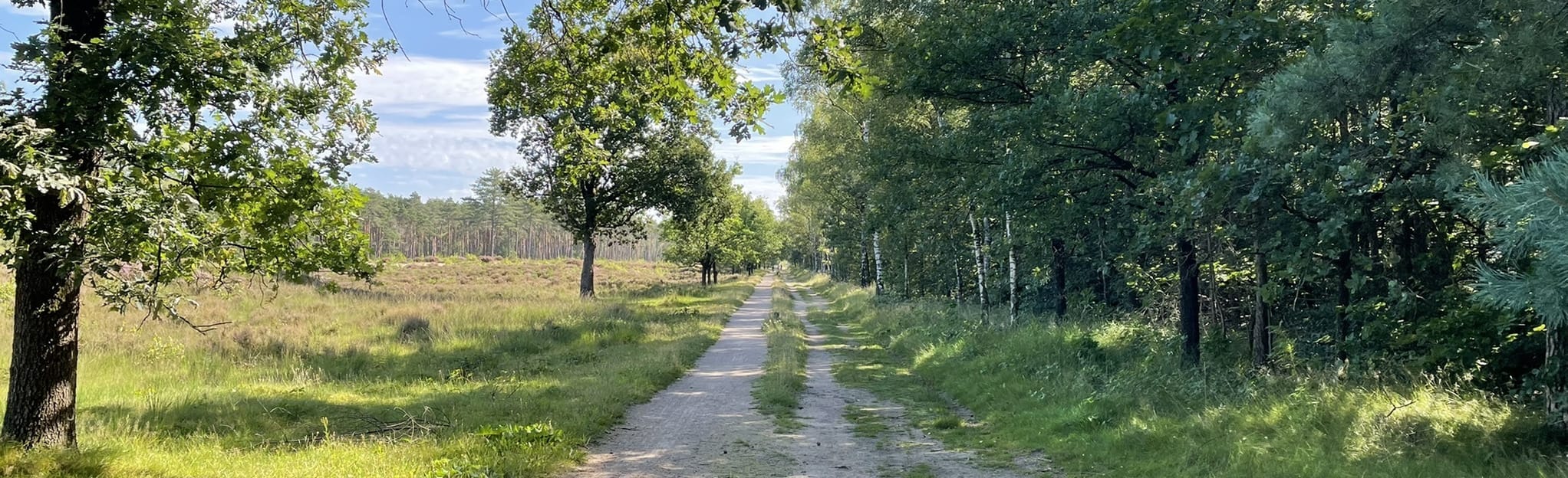 Austerlitz The White House Red Trail, Utrecht, Netherlands 42 Reviews, Map AllTrails