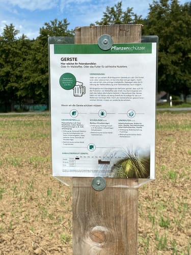 Lacher Schleife (Roßbach R3)