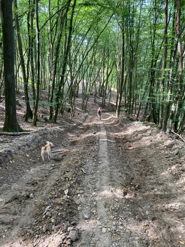 Lacher Schleife (Roßbach R3)