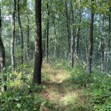 Cumberland Trail - Grassy Cove Section, Tennessee - 69 Reviews, Map ...