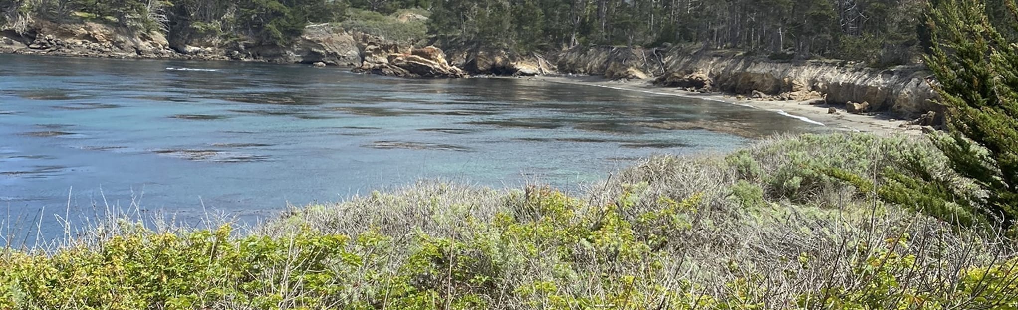Point Lobos Loop Trail 6 621 Reviews - EyJidWNrZXQiOiJhc3NldHMuYWxsdHJhaWxzLmNvbSIsImtleSI6InVwbG9hZHMvcGhvdG8vaW1hZ2UvMzk1Mjc3OTYvNjdjMDdhMGRjYzJjNGEwNzJmMDhhNjEwYTkyMTNlNWEuanBnIiwiZWRpdHMiOnsidG9Gb3JtYXQiOiJqcGVnIiwicmVzaXplIjp7IndpZHRoIjoyMDQ0LCJoZWlnaHQiOjYyNCwiZml0IjoiY292ZXIifSwicm90YXRlIjpudWxsLCJqcGVnIjp7InRyZWxsaXNRdWFudGlzYXRpb24iOnRydWUsIm92ZXJzaG9vdERlcmluZ2luZyI6dHJ1ZSwib3B0aW1pc2VTY2FucyI6dHJ1ZSwicXVhbnRpc2F0aW9uVGFibGUiOjN9fX0=