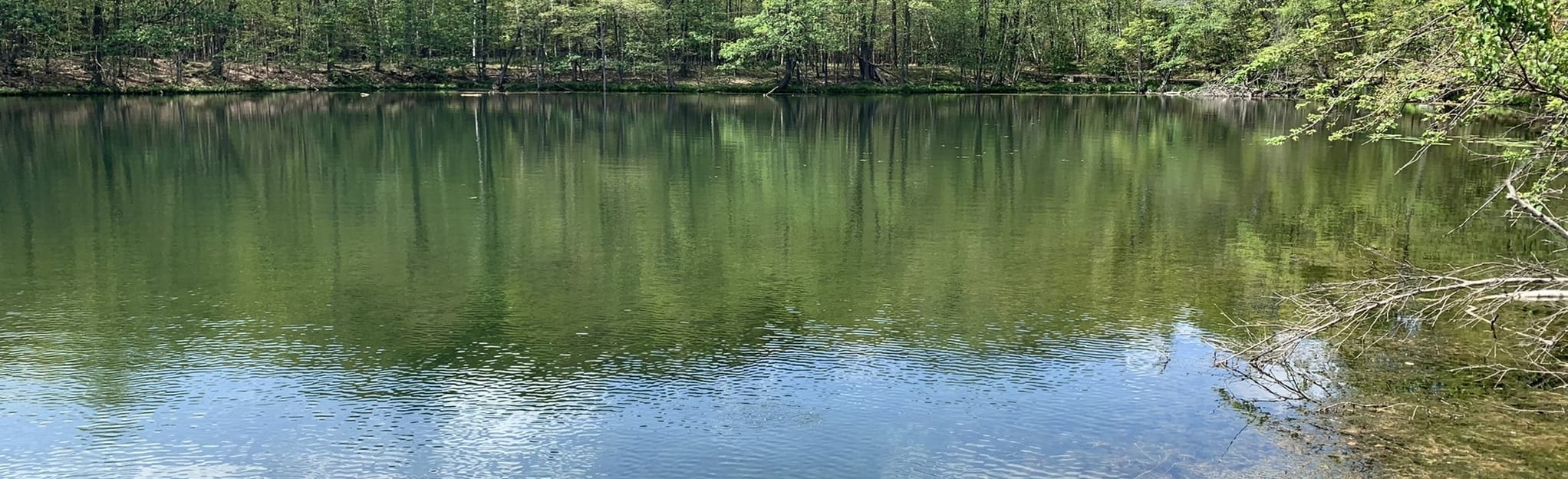Mont StBruno Loop via the Entrée Saint Basile le Grand, Quebec, Canada