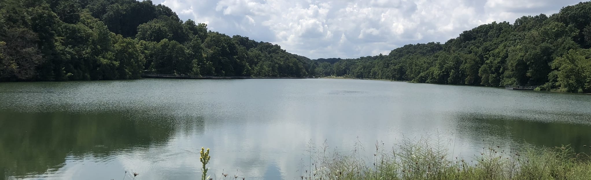 Lake Atalanta Loop 485 Reviews, Map Arkansas AllTrails