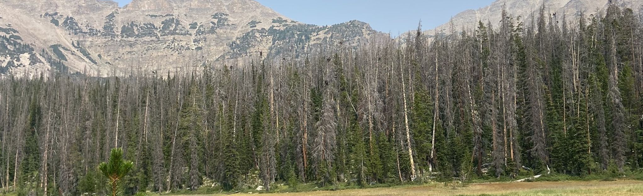 Four Lakes Basin via Highline and Four Lakes Basin Trails, Utah - 155 ...